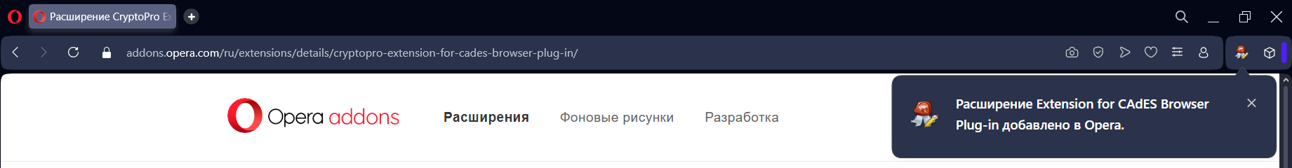 Скриншот браузера Opera шаг 3